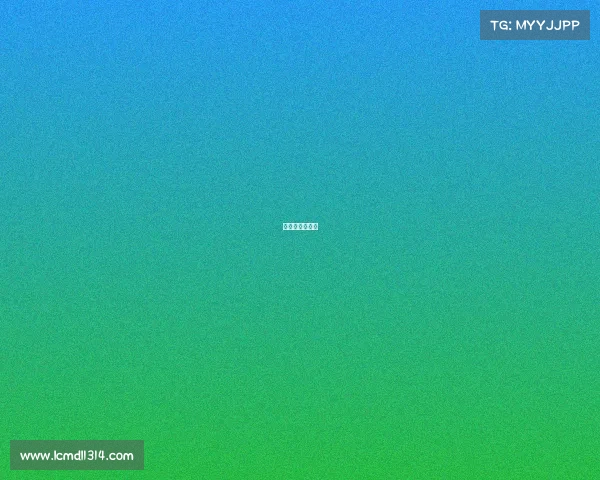 综合格斗锦标赛